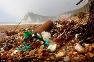 Wet Wipe Wasteland - How wet wipes are destroying the planet